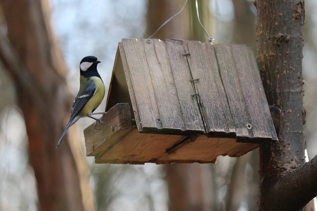 Foto do arquivo: fornecida por 【check lottery tickets】