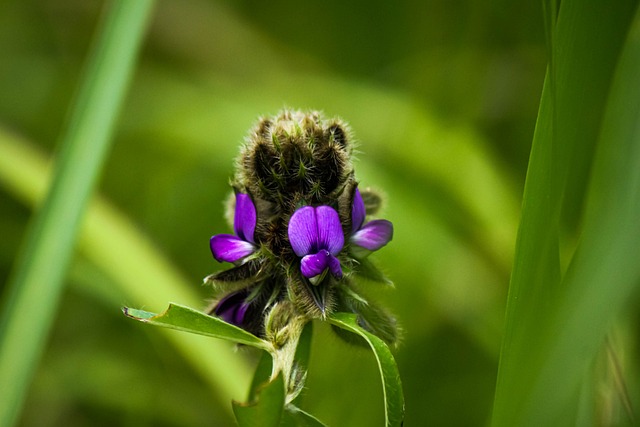 Foto do arquivo: fornecida por 【resultado da lotofácil 1440】