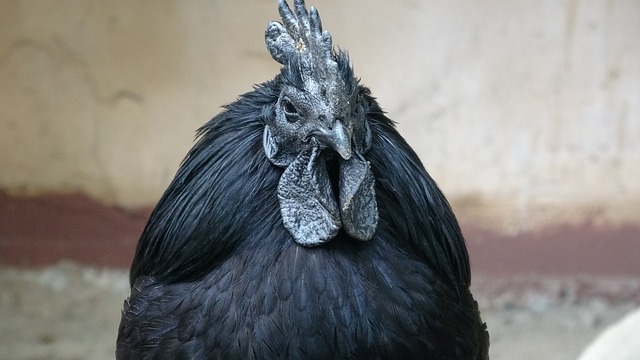 Foto do arquivo: fornecida por 【google quero resultado da mega sena de hoje】