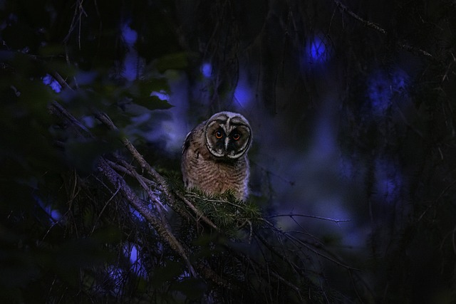 Foto do arquivo: fornecida por 【resultado loteria dos sonhos 10 11 2016】