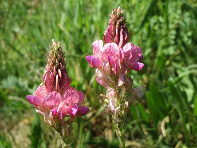 loterias nossa caixa