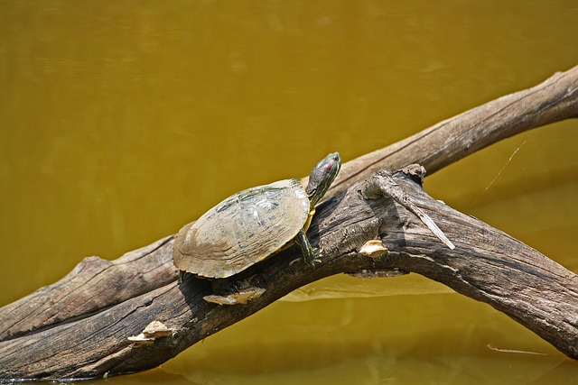 Foto do arquivo: fornecida por 【resultado da lotofácil concurso 2573】