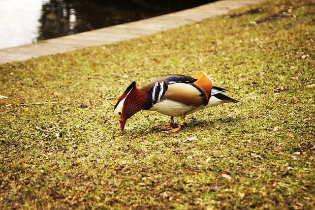 Foto do arquivo: fornecida por 【números bom para jogar na lotofácil】