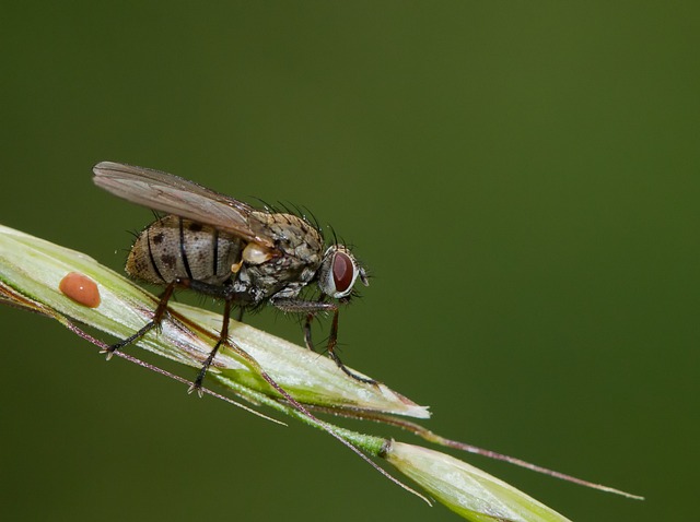 Foto do arquivo: fornecida por 【resultado do lotofácil do dia 22】