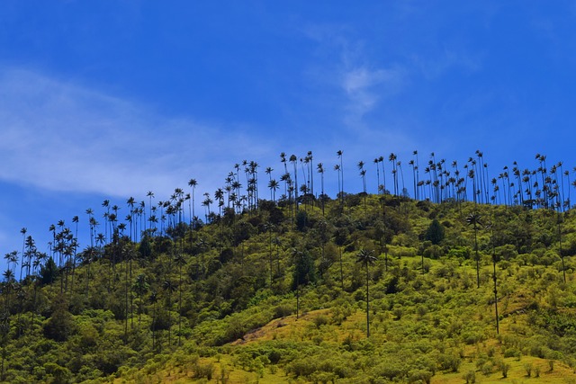 Foto do arquivo: fornecida por 【Jogo que paga sem precisar comprar nada】