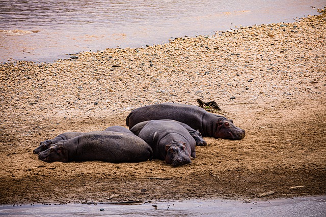 Foto do arquivo: fornecida por 【Resultado do bicho em tempo real】