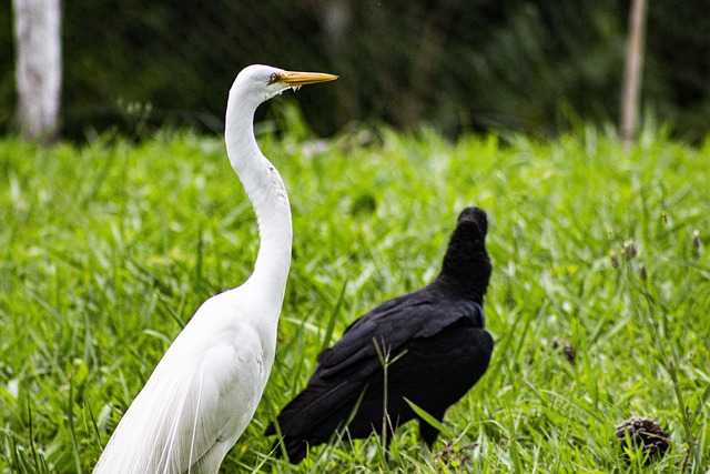 Foto do arquivo: fornecida por 【resultado da quina 5647】