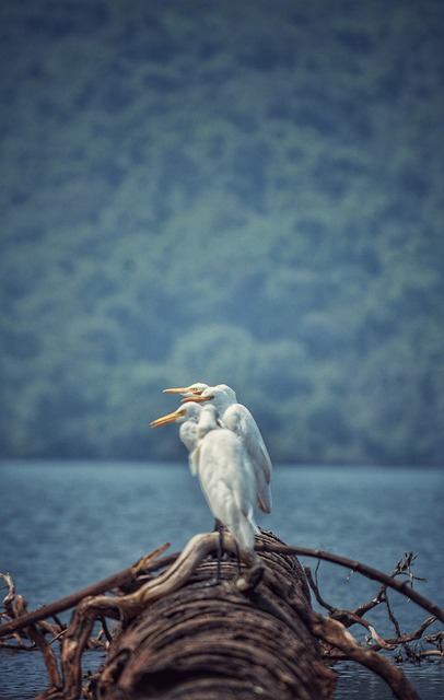 Foto do arquivo: fornecida por 【slotes】