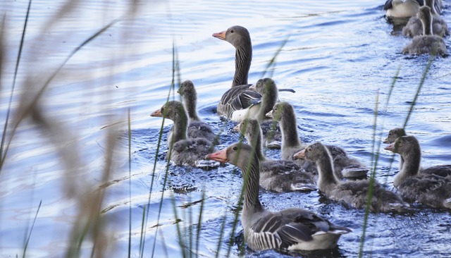 Foto do arquivo: fornecida por 【numeros dos bichos na loteria federal】