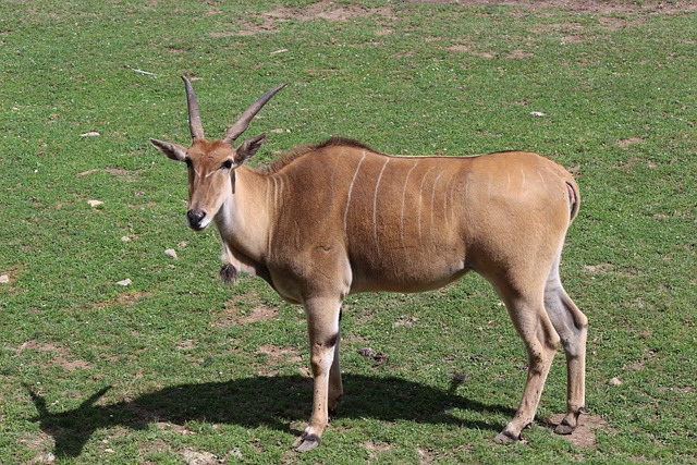 Foto do arquivo: fornecida por 【sorteio da mega sena de hoje】