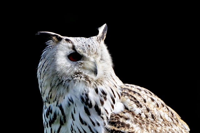 bicho mais atrasado da pt rio|bicho mais atrasado pt rio