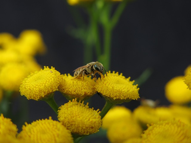 Foto do arquivo: fornecida por 【resultado loteria federal 01 11 2016】