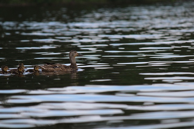 Foto do arquivo: fornecida por 【resultado da mega sena 2129】