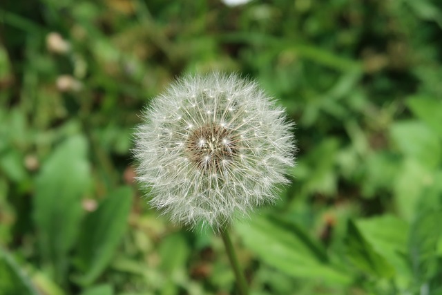 Foto do arquivo: fornecida por 【magic bingo】