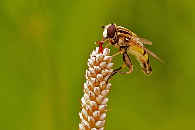 Foto do arquivo: fornecida por 【mães png】