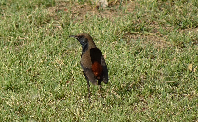 Foto do arquivo: fornecida por 【como fazer pacto para ganhar na loteria】