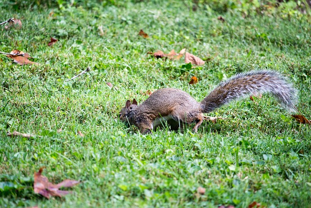 Foto do arquivo: fornecida por 【zdc789 pg】