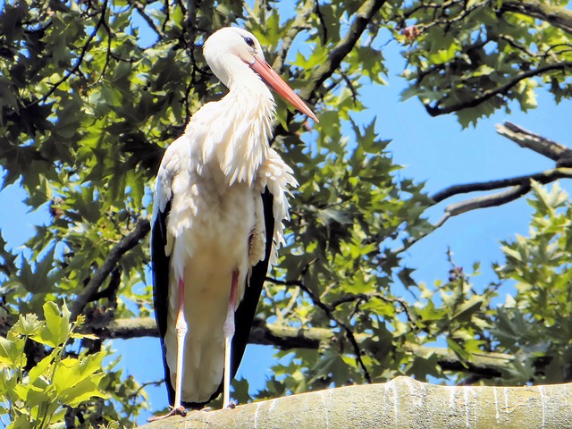 deunoposte ojogodobicho hoje resultado jogo do bicho hoje