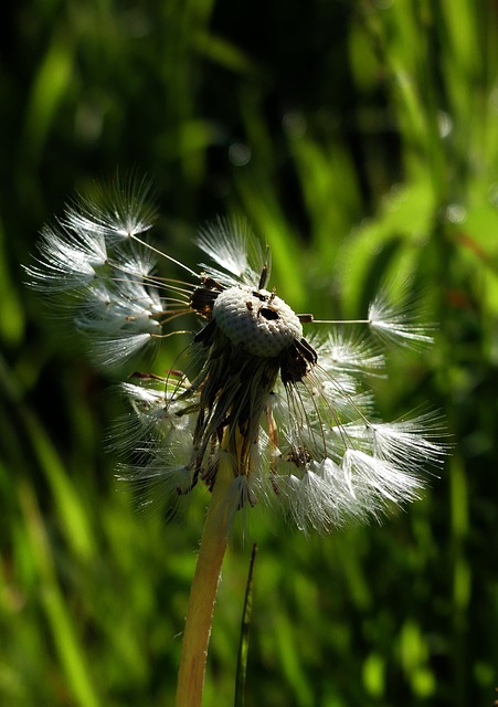 Foto do arquivo: fornecida por 【buffalo blitz megaways】