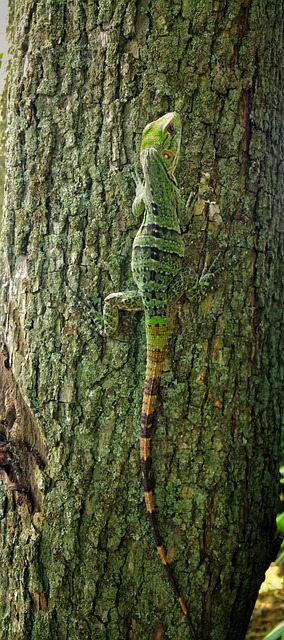 Foto do arquivo: fornecida por 【concurso 1853 da mega sena】