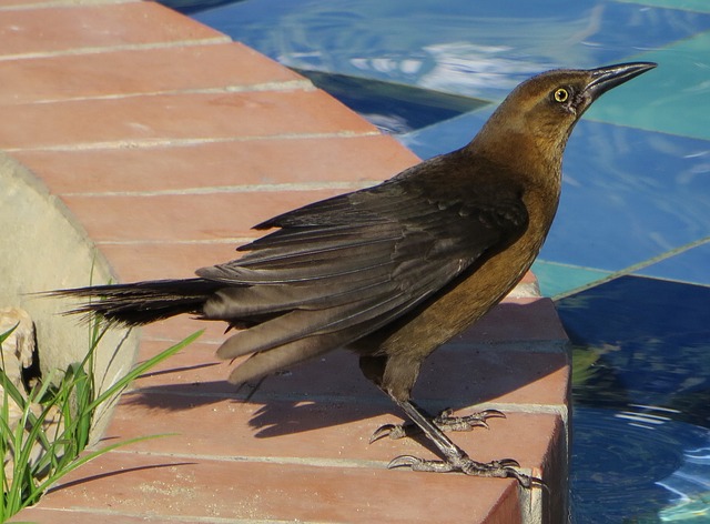 Foto do arquivo: fornecida por 【jogos jogos poki】