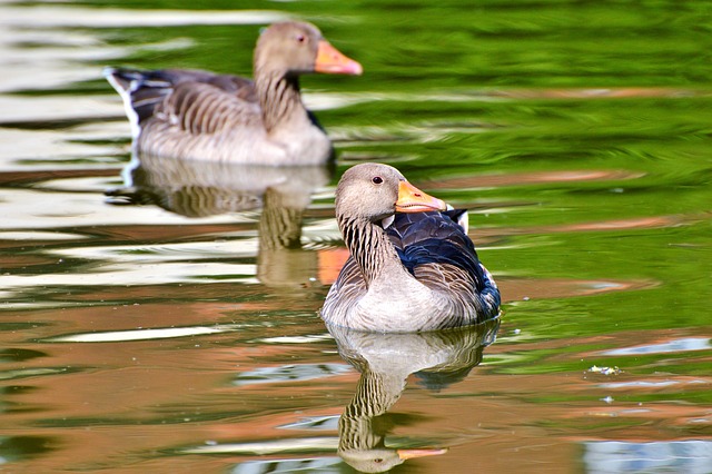 Foto do arquivo: fornecida por 【betano casino ao vivo】