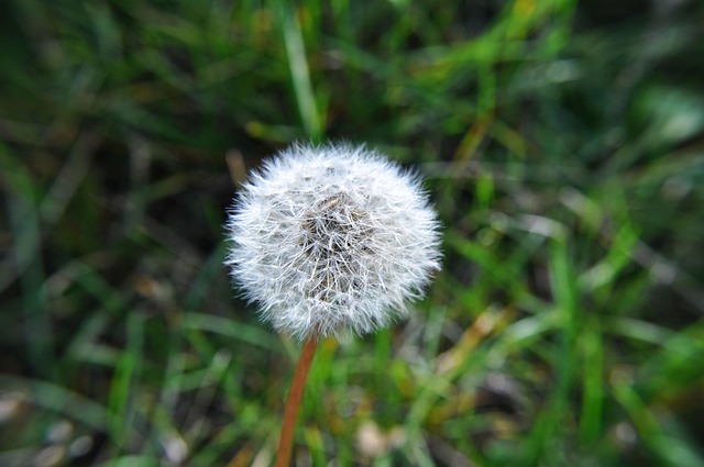 Foto do arquivo: fornecida por 【ver resultado quina de hoje】