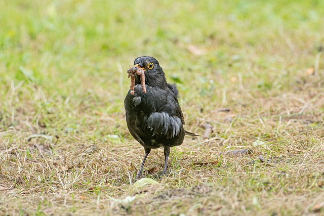 Foto do arquivo: fornecida por 【resultado jogo do bicho sp hoje】