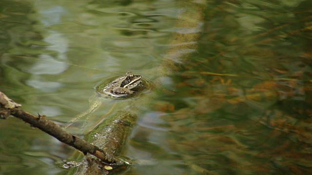 Foto do arquivo: fornecida por 【mega sena 2362 resultado】