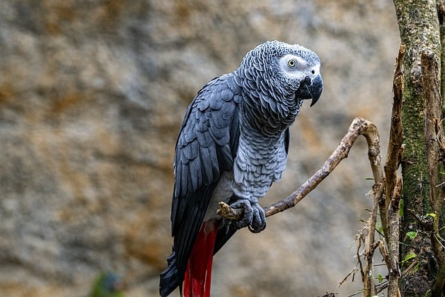 Foto do arquivo: fornecida por 【de onde é o ganhador da quina】