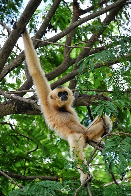 Foto do arquivo: fornecida por 【Resultado de hoje no sorteio da Lotofácil】