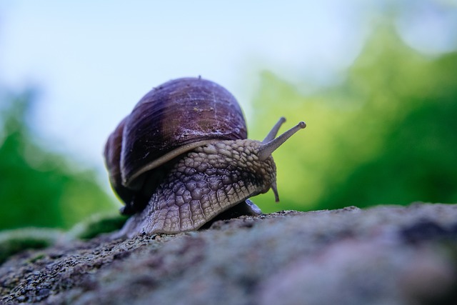 Foto do arquivo: fornecida por 【resultado da loteria federal das 18 horas hoje】