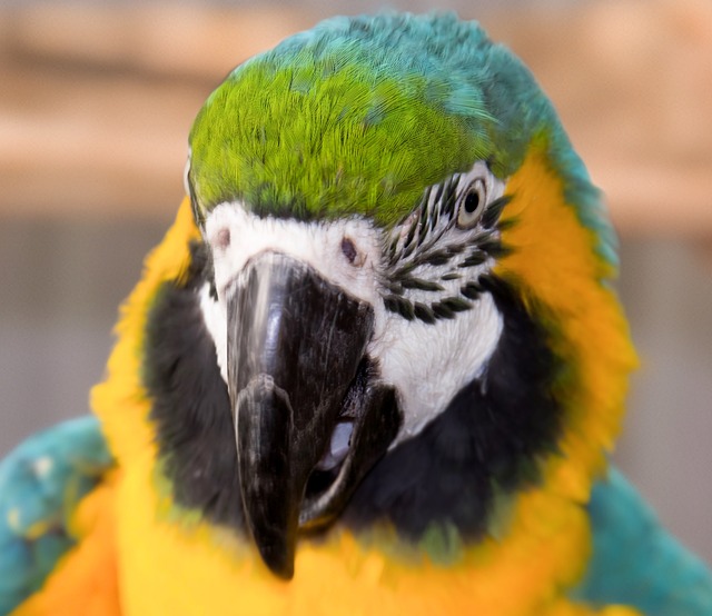 Foto do arquivo: fornecida por 【resultado jogo do bicho da federal de sábado】