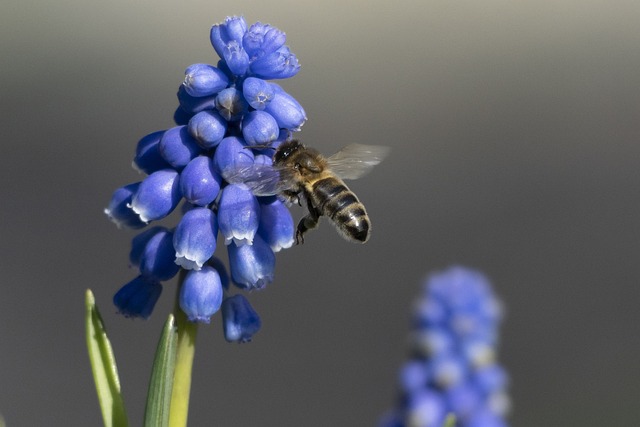 Foto do arquivo: fornecida por 【beta positivo】