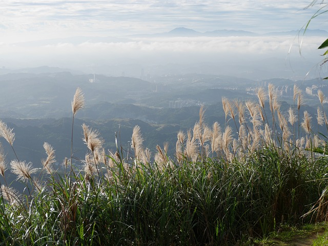 ganhe dinheiro