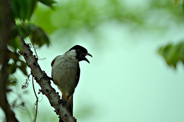 Foto do arquivo: fornecida por 【luckyland slot】