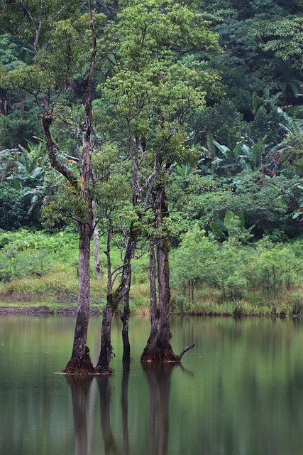 Foto do arquivo: fornecida por 【sites de ganhar dinheiro no pix】