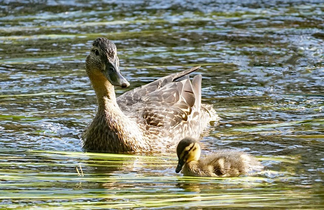 Foto do arquivo: fornecida por 【resultado da lotofácil 2294】