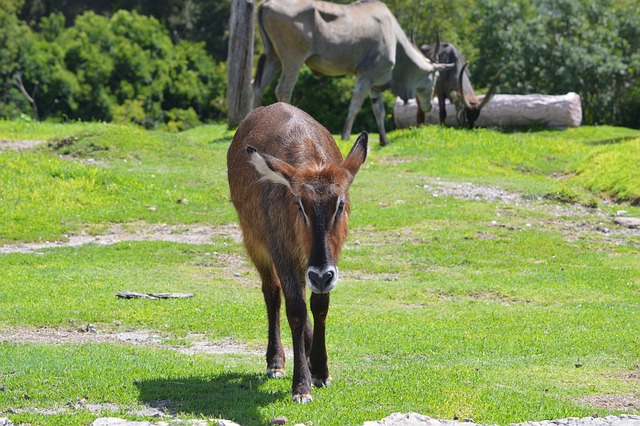 Foto do arquivo: fornecida por 【low stakes roulette】