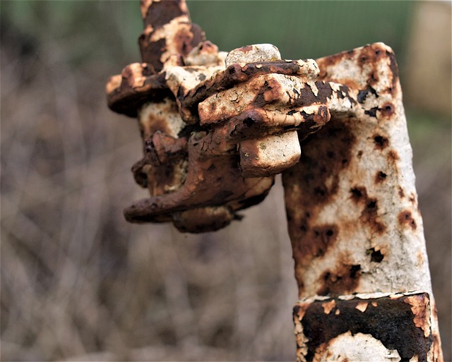 Foto do arquivo: fornecida por 【qual é o deposito minimo da blaze】