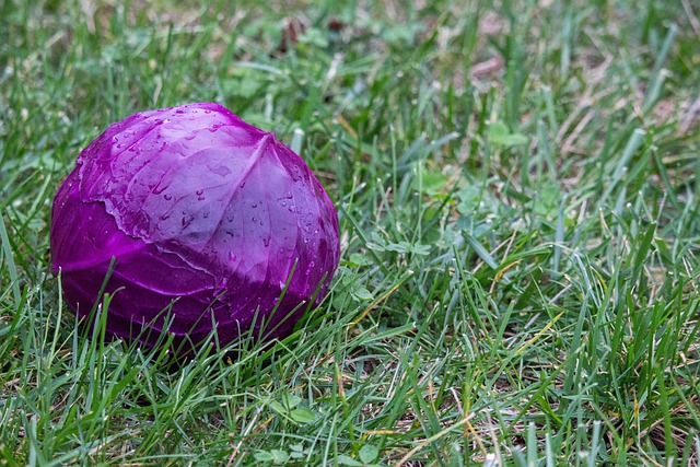 Foto do arquivo: fornecida por 【qual jogo ganha dinheiro de verdade no nubank】