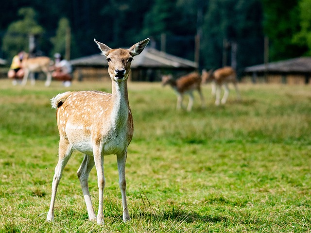 Foto do arquivo: fornecida por 【resultado da mega sena 1770】