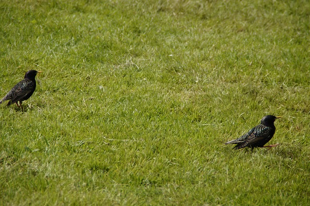 Foto do arquivo: fornecida por 【Jogo que paga sem você investir】