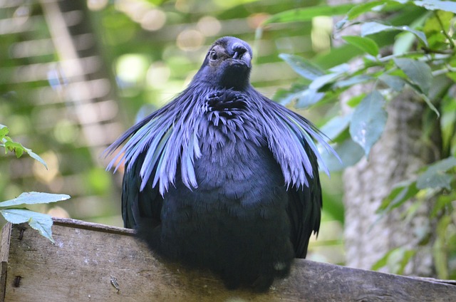 Foto do arquivo: fornecida por 【ganhe dinheiro jogando】