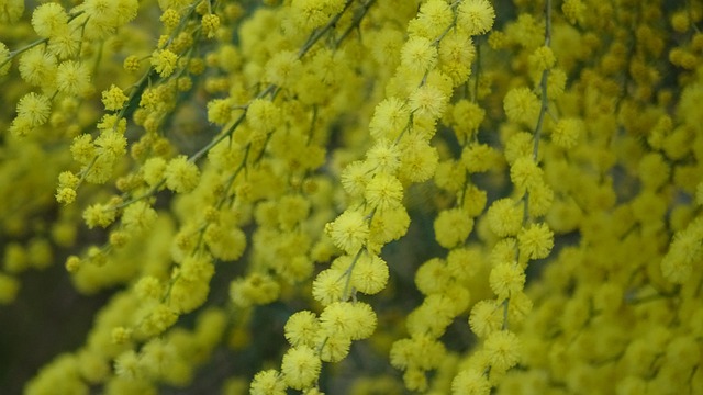 Foto do arquivo: fornecida por 【Tigrinho: inovação em sorteios】