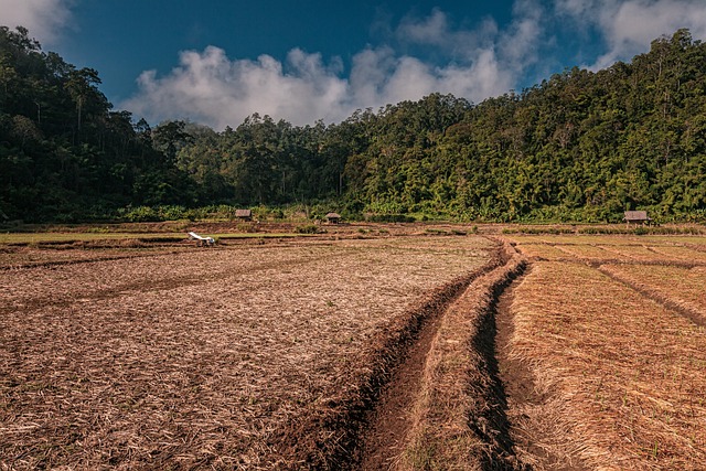 Foto do arquivo: fornecida por 【o que e um bolao da mega sena】