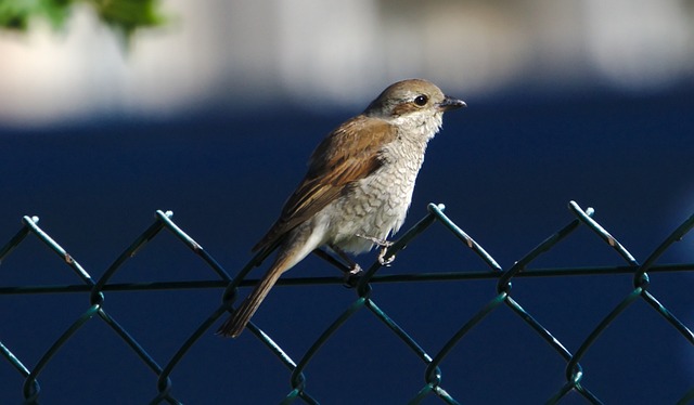 Foto do arquivo: fornecida por 【resultado jogo do bicho das 11 horas de hoje】