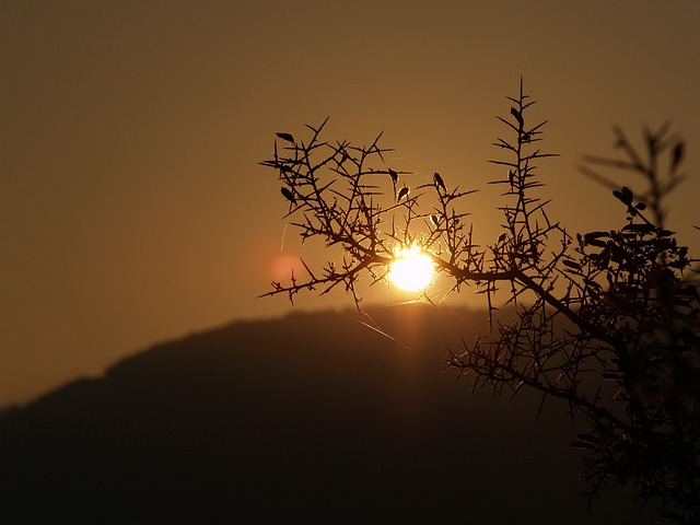 Foto do arquivo: fornecida por 【mega sena resultado de hoje acumulou】