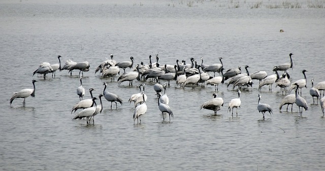 Foto do arquivo: fornecida por 【303pedia】