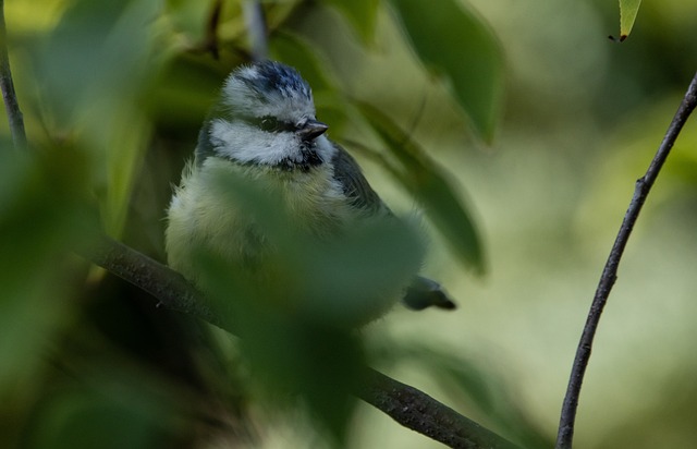 Foto do arquivo: fornecida por 【resultado da lotofácil 1623】